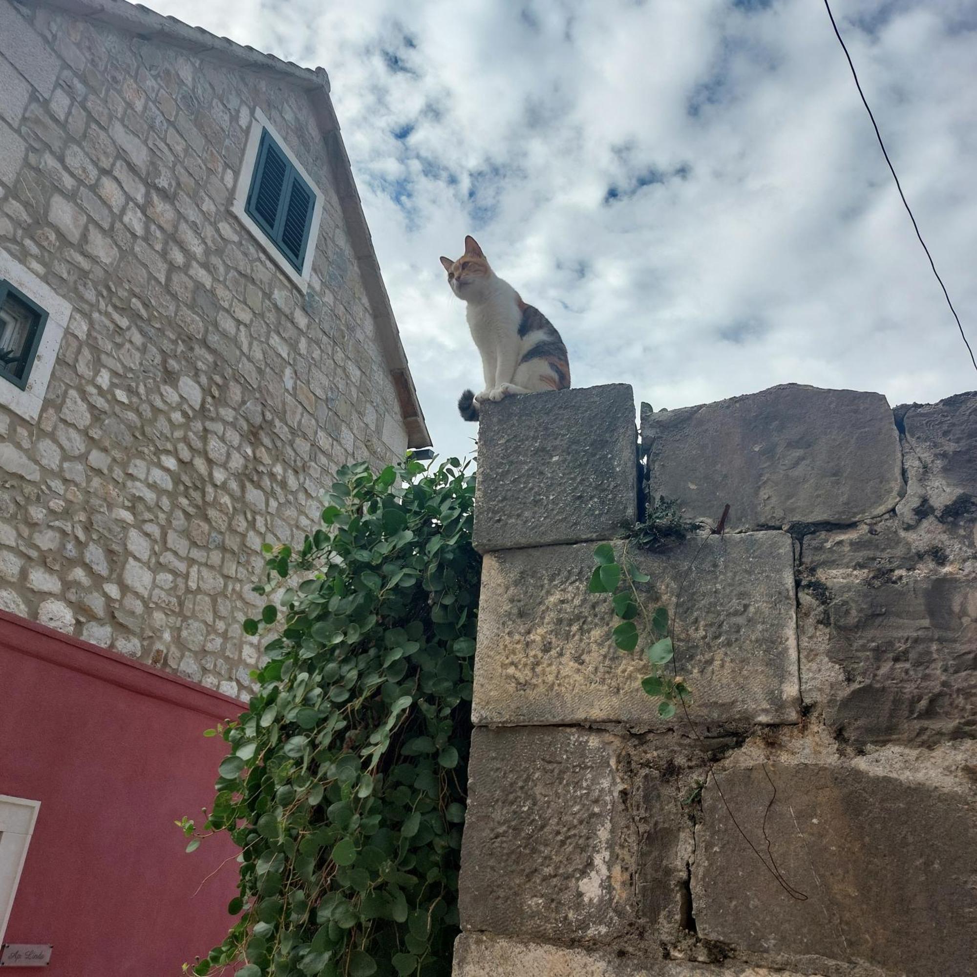 San Marco Makarska Apartment Bilik gambar